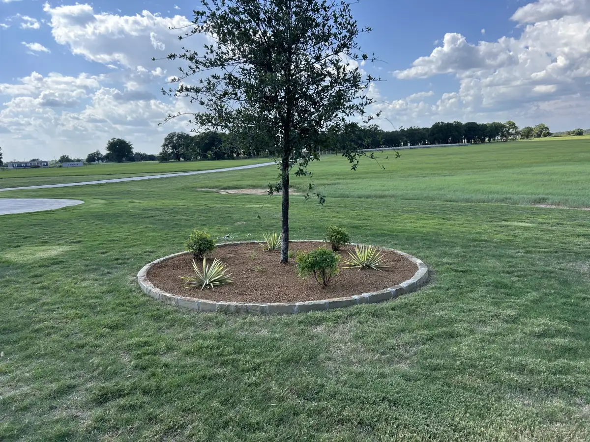 Luxury landscape design with complete yard transformation in Aledo TX
