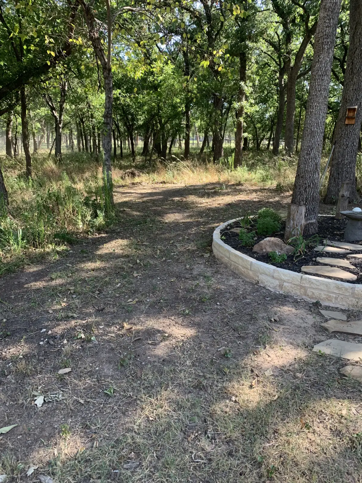 Fence row clearing and perimeter maintenance on rural Parker County TX property
